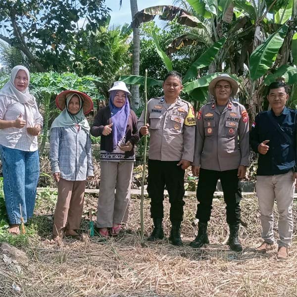 Dukung Program Ketahanan Pangan Nasional, Kepala Desa Pajar Bulan Seginim Bersama Kapolsek Serta Masyarakat Laksanakan Penanaman Jagung